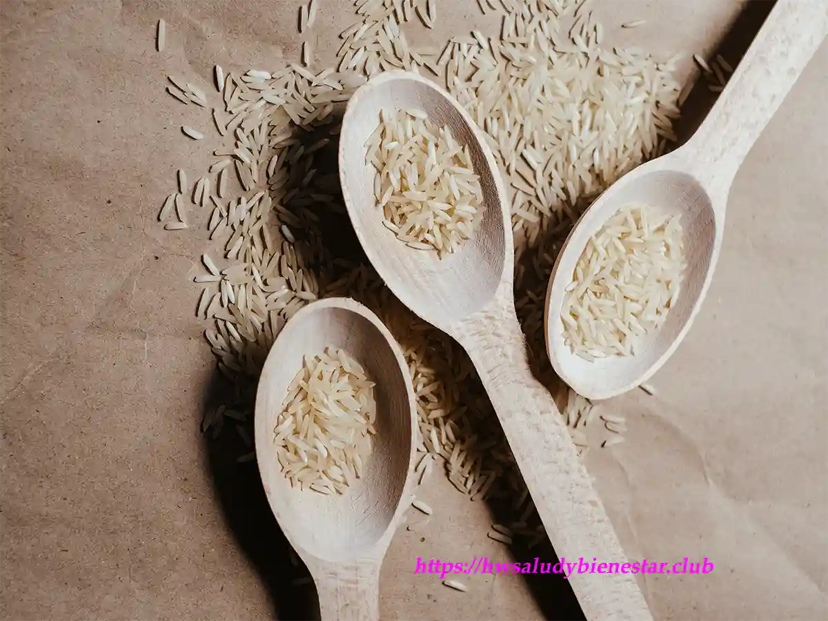 Tipos diferentes de arroz